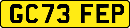 GC73FEP