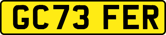 GC73FER
