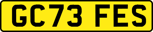 GC73FES