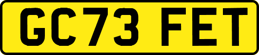 GC73FET