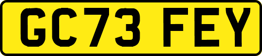 GC73FEY