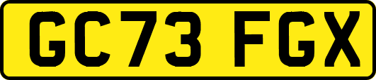 GC73FGX