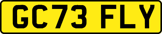 GC73FLY