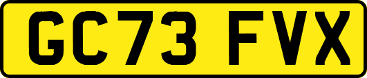 GC73FVX