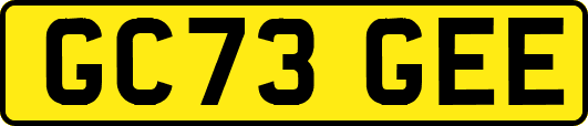 GC73GEE