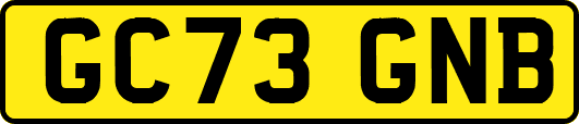 GC73GNB