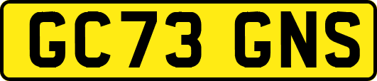 GC73GNS