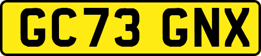 GC73GNX