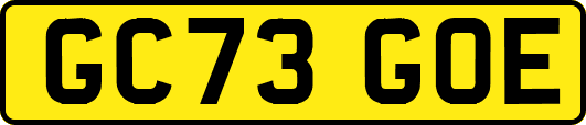 GC73GOE