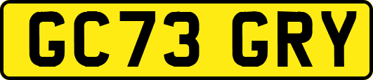 GC73GRY