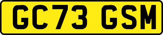 GC73GSM