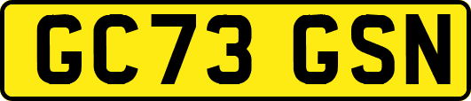 GC73GSN