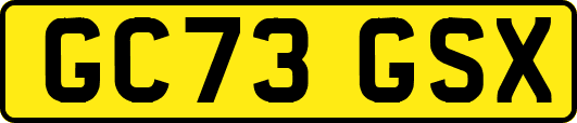 GC73GSX