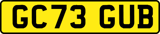 GC73GUB
