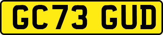 GC73GUD
