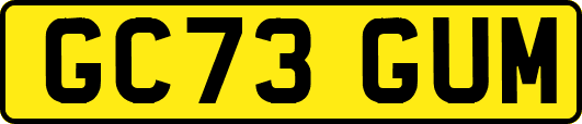 GC73GUM
