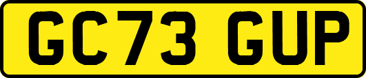 GC73GUP