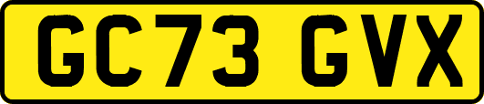GC73GVX