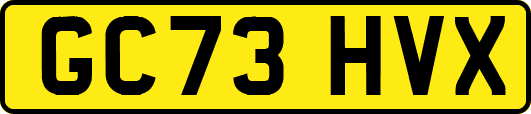 GC73HVX