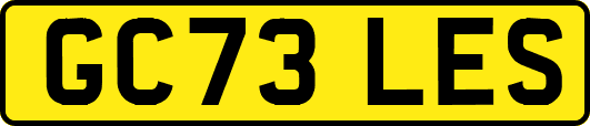 GC73LES