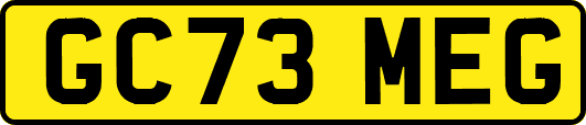 GC73MEG