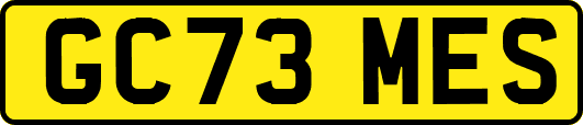 GC73MES