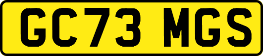 GC73MGS