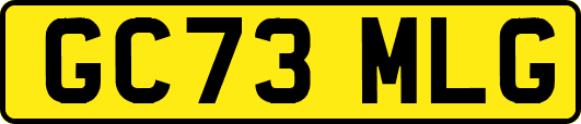 GC73MLG