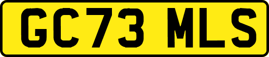 GC73MLS