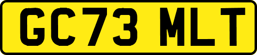 GC73MLT