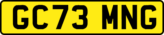 GC73MNG