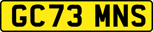 GC73MNS