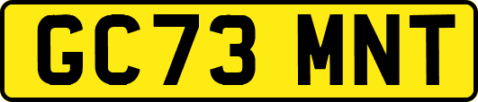 GC73MNT