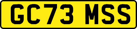 GC73MSS