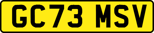 GC73MSV