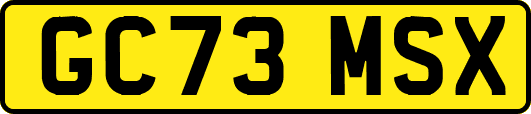 GC73MSX