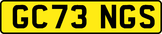 GC73NGS