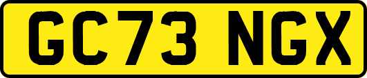 GC73NGX