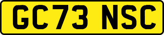 GC73NSC