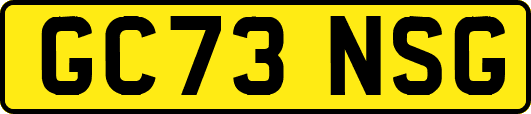 GC73NSG