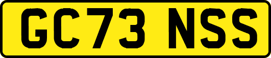 GC73NSS