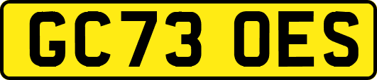 GC73OES