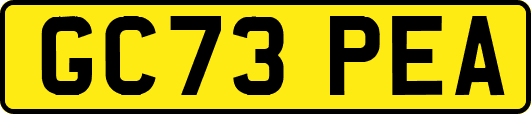 GC73PEA
