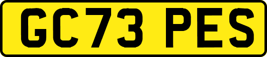 GC73PES