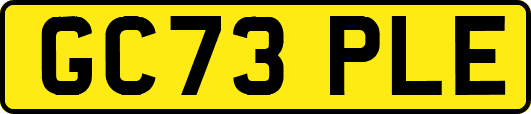 GC73PLE
