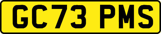 GC73PMS