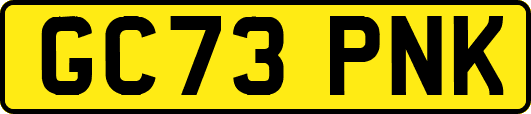 GC73PNK
