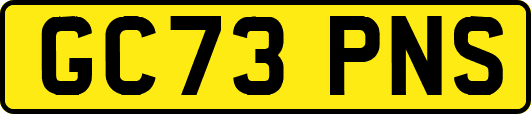 GC73PNS