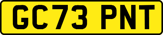 GC73PNT