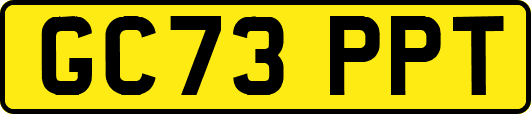 GC73PPT